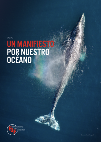 Un manifesto por nuestro océano