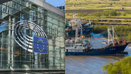 Europawahlen: Worauf sich die nächste EU-Kommission konzentrieren sollte