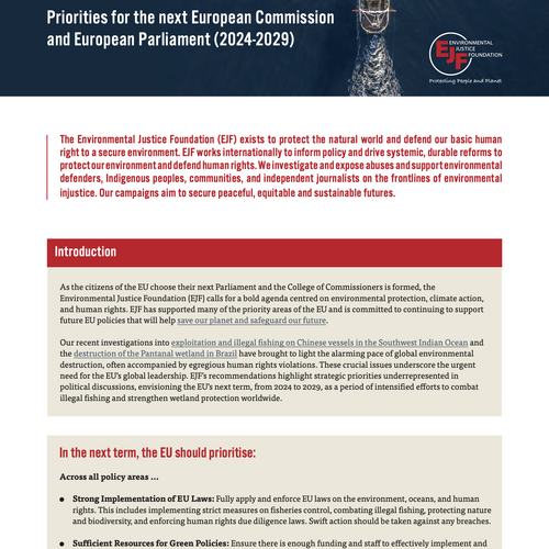 Prioritäten für die nächste Europäische Kommission und das Europäische Parlament (2024-2029)