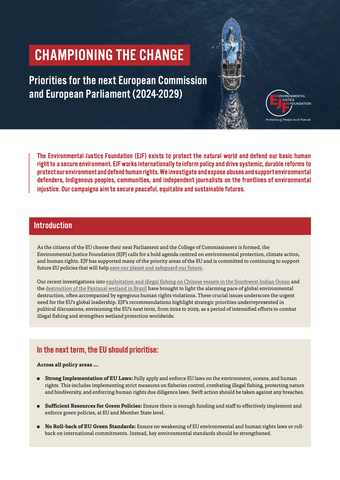 Prioritäten für die nächste Europäische Kommission und das Europäische Parlament (2024-2029)