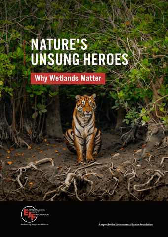 Stille Helden der Natur: Warum Feuchtgebiete so wichtig sind