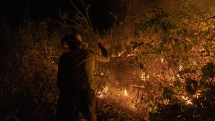 Das Pantanal brennt – EU muss besser zum Schutz global relevanter Feuchtgebiete beitragen: neues EJF-Briefing