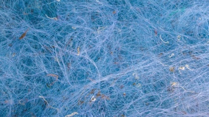 Press Comment: Implementation is the key for a successful supply chain law, says Environmental Justice Foundation