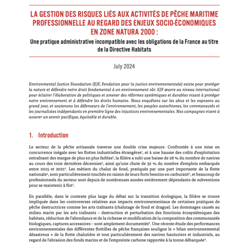 La gestion des risques liés aux activités de pêche maritime professionnelle au regard des enjeux socio-économiques en zone Natura 2000 : Une pratique administrative incompatible avec les obligations de la France au titre de la Directive Habitats