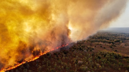 Pantanal fires to reach a global jaguar hotspot in a matter of days