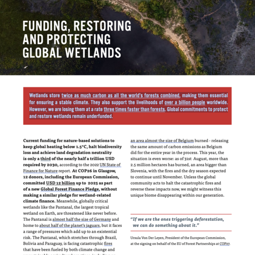 Funding, restoring and protecting global wetlands