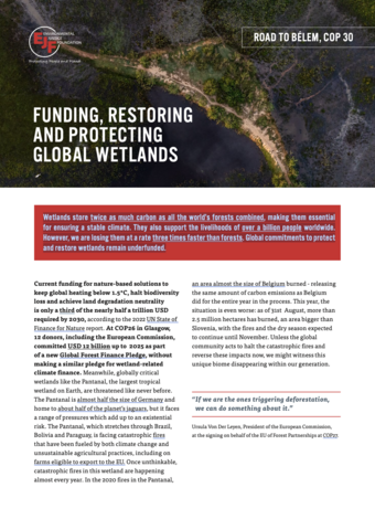 Funding, restoring and protecting global wetlands