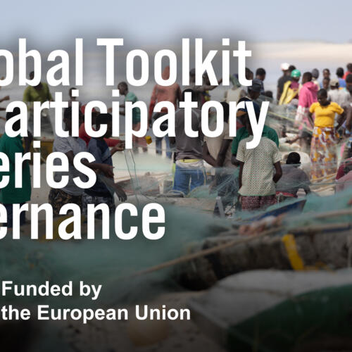 A global toolkit for participatory fisheries governance