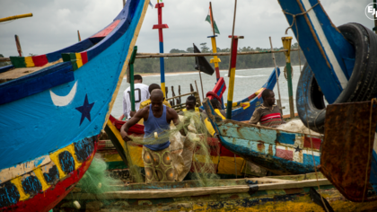 update from ejf's oceans team