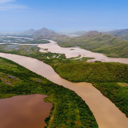 „Hier geht es um unsere Zukunft“ – Europäische und brasilianische Entscheidungsträger*innen fordern Schutz von Feuchtgebieten