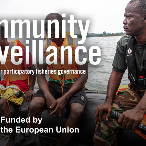 Community surveillance – EU-funded global toolkit