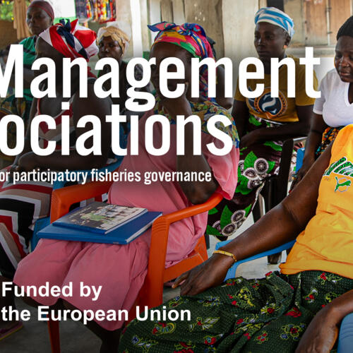 Collaborative management associations – EU-funded global toolkit