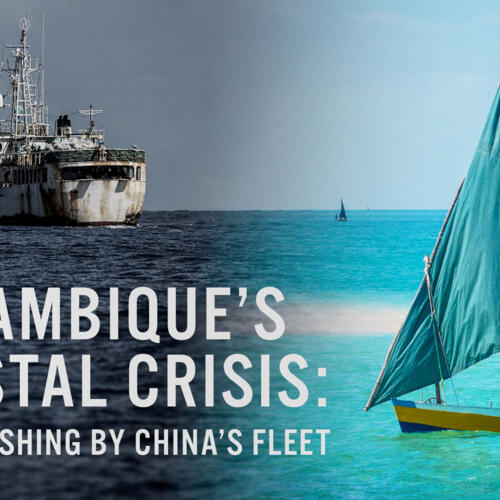 Mozambique’s Coastal Crisis: Illegal Fishing by China’s Fleet