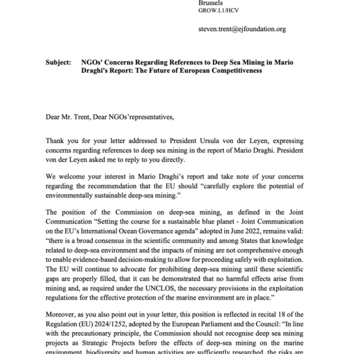 EU Commission's Reply to NGOs' Concerns about DSM