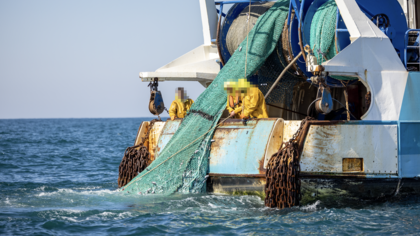 Chausey: une nouvelle étape judiciaire pour protéger une aire marine Natura 2000