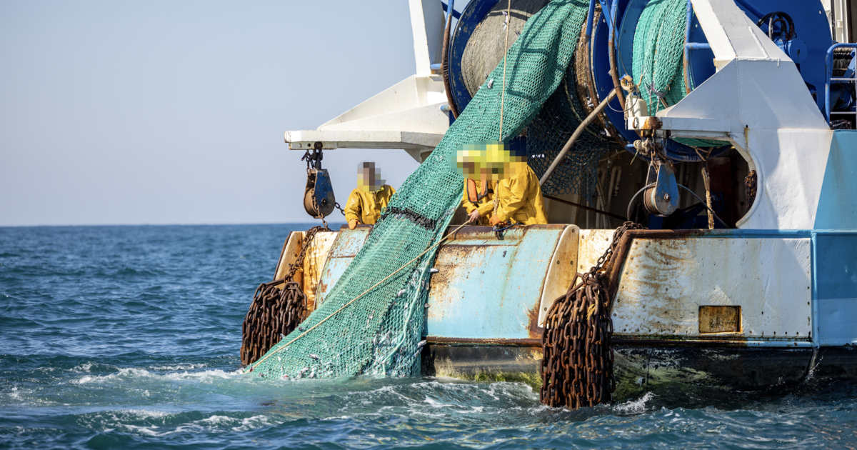 Environmental Justice Foundation | Chausey: une nouvelle étape…