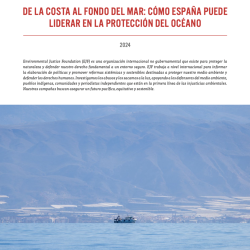 DE LA COSTA AL FONDO DEL MAR: CÓMO ESPAÑA PUEDE LIDERAR EN LA PROTECCIÓN DEL OCÉANO