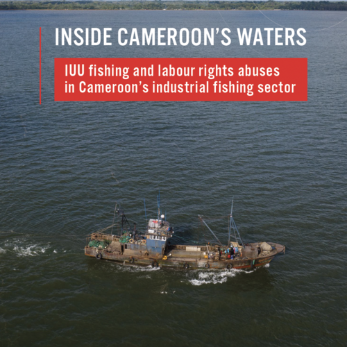 Inside Cameroon's waters: IUU fishing and labour rights abuses in Cameroon’s industrial fishing sector