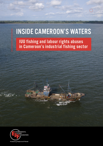 Inside Cameroon's waters: IUU fishing and labour rights abuses in Cameroon’s industrial fishing sector