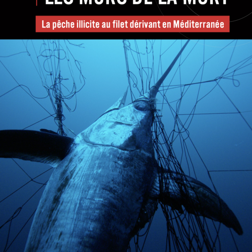 « Les murs de la mort » : La pêche illicite au filet dérivant en Méditerranée