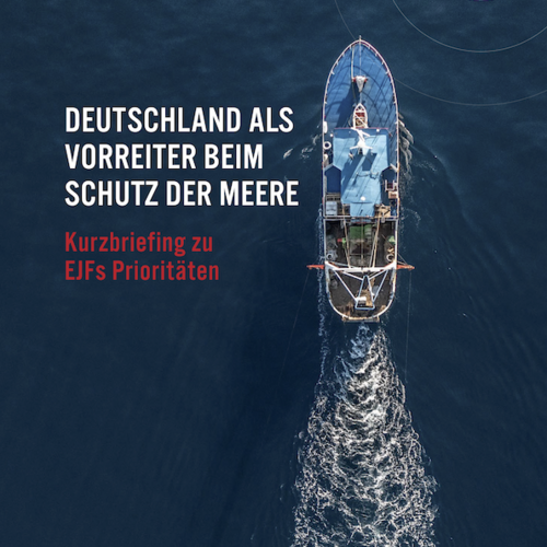 Deutschland als Vorreiter beim Schutz der Meere: Kurzbriefing zu EJFs Prioritäten﻿﻿