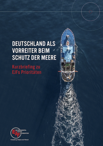 Deutschland als Vorreiter beim Schutz der Meere: Kurzbriefing zu EJFs Prioritäten﻿﻿