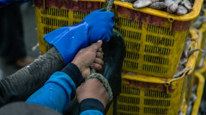 Meilenstein: EU-Rat verabschiedet Verordnung für Verbot von Produkten aus Zwangsarbeit