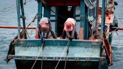 EU Council approves Forced Labour Regulation, EJF calls for robust implementation