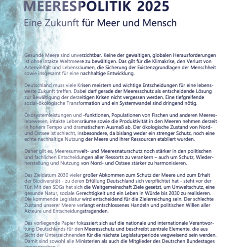 Meerespolitik 2025: Eine Zukunft für Meer und Mensch