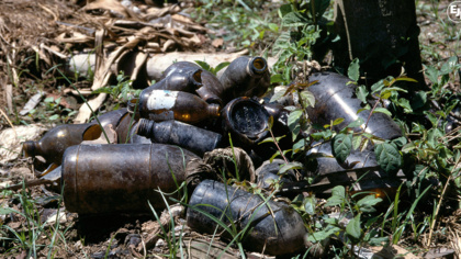 Paraguay bans endosulfan