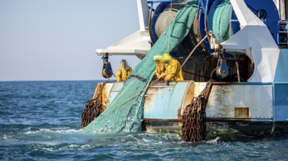 Les défenseurs de l’océan lancent « Protect our Catch: La Voix de l’Océan », une campagne européenne, exhortant le président français Emmanuel Macron et l'Union européenne à mettre fin aux méthodes de pêche destructrices, telles que le chalutage de fond