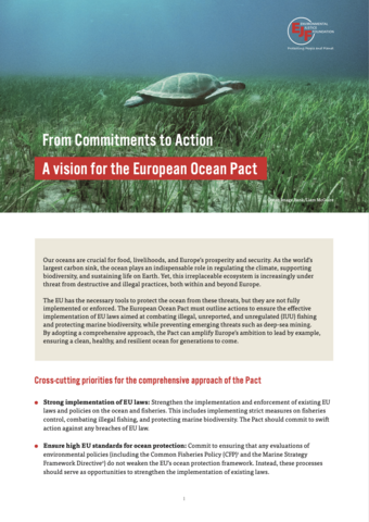 From Commitments to Action: A vision for the European Ocean Pact