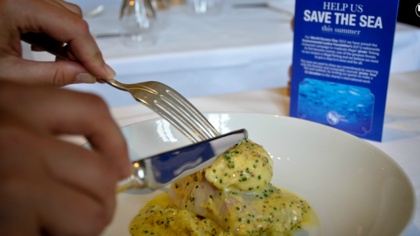 Retailer Call To Action: Save the Sea