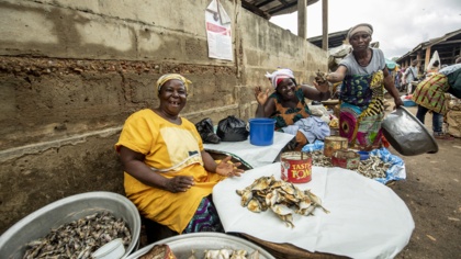 Ghana backs Global Fisheries Transparency Charter: a breakthrough for ocean governance and accountability