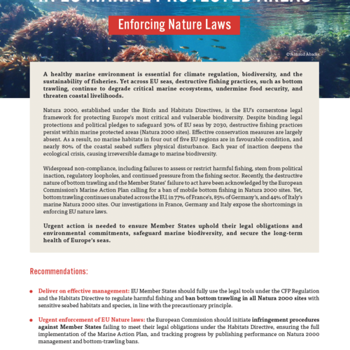 Reviving ocean life in EU marine protected areas