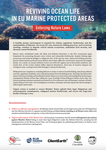 Reviving ocean life in EU marine protected areas