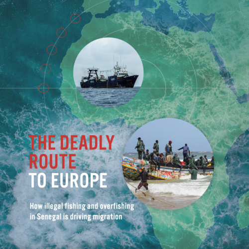 The Deadly Route to Europe: How illegal fishing and overfishing in Senegal is driving migration