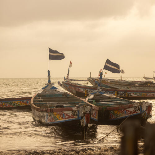 « La mer a été vendue » : la crise de la pêche au Sénégal entraîne une migration forcée vers l'Europe