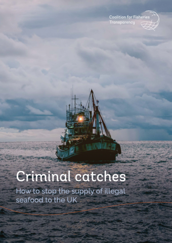 Criminal catches: How to stop the supply of illegal seafood to the UK