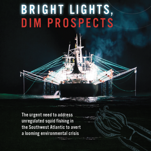 Bright lights, dim prospects: The urgent need to address unregulated squid fishing in the Southwest Atlantic to avert a looming environmental crisis