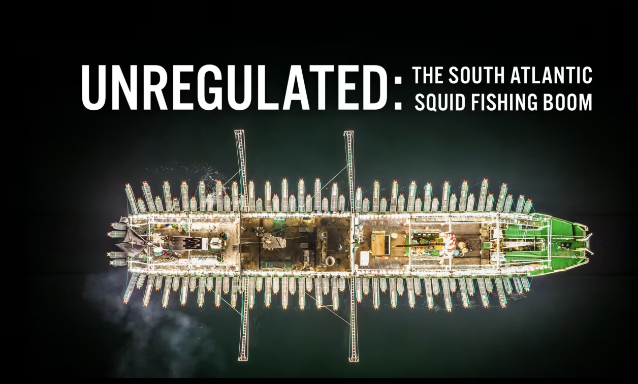 Unregulated: The South Atlantic Squid Fishing Boom
