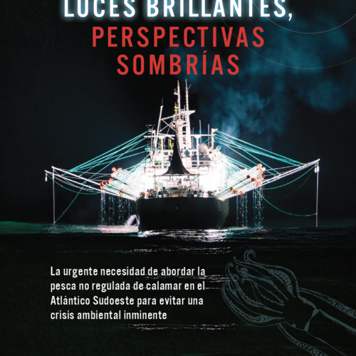 Luces brillantes, perspectivas sombrías: La urgente necesidad de abordar la pesca no regulada de calamar en el Atlántico Sudoeste para evitar una crisis ambiental inminente