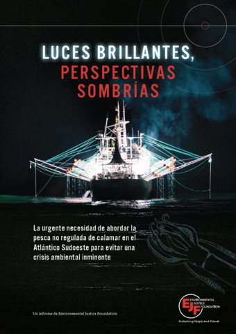 Luces brillantes, perspectivas sombrías: La urgente necesidad de abordar la pesca no regulada de calamar en el Atlántico Sudoeste para evitar una crisis ambiental inminente