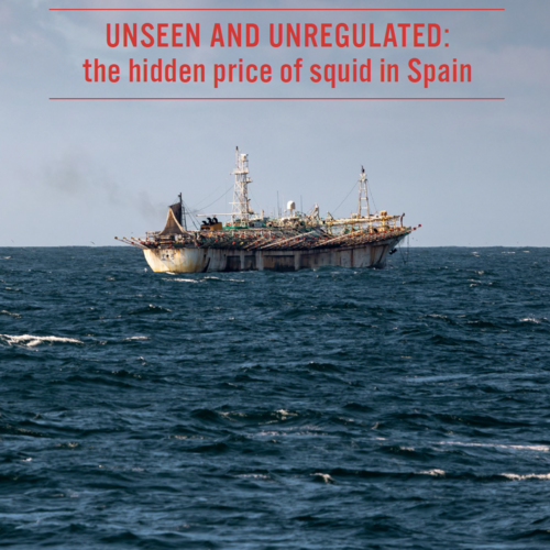 Unseen and unregulated: the hidden price of squid in Spain