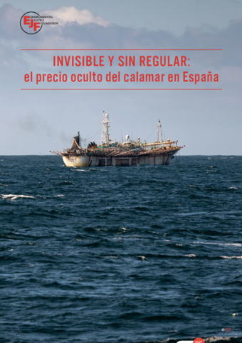 Invisible y sin regular: el precio oculto del calamar en España