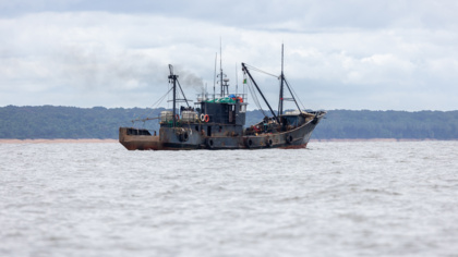 Un nouveau film révèle l’impact caché de la pêche illicite au Cameroun et appelle à des réformes urgentes en matière de transparence