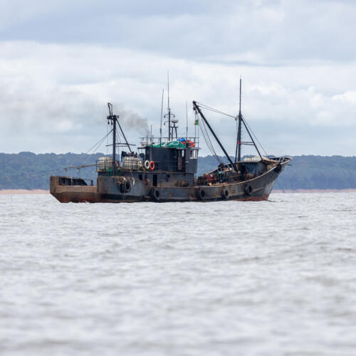 New film exposes the hidden toll of illegal fishing in Cameroon and calls for urgent transparency reforms