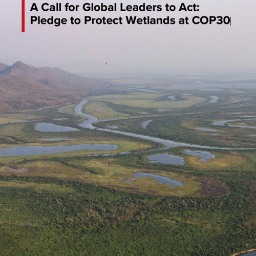 A Call for Global Leaders to Act: Pledge to Protect Wetlands at COP30