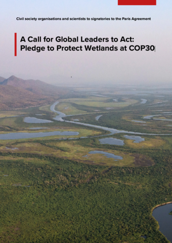 A Call for Global Leaders to Act: Pledge to Protect Wetlands at COP30