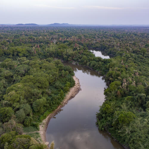World leaders urged to safeguard wetlands at COP30